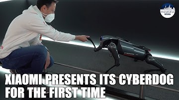 Xiaomi and IBM present their robot dogs: which one do you prefer?