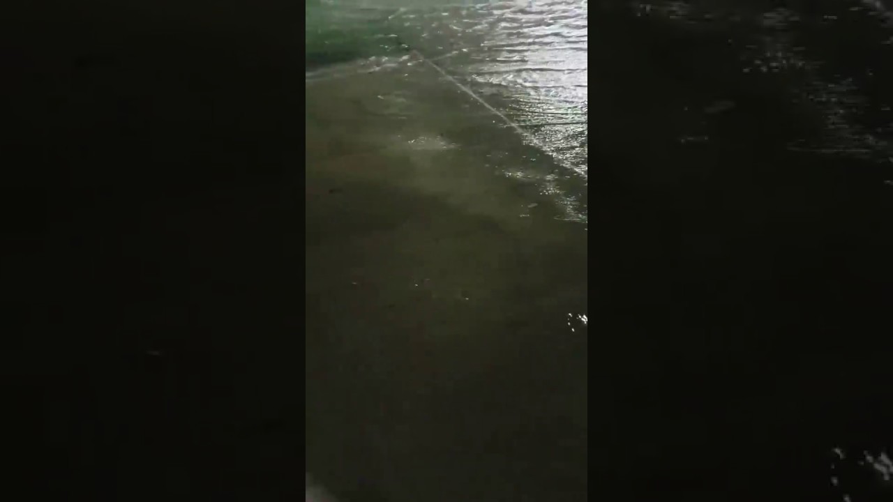 La Marque/Texas City WalMart Parking Lot flooding YouTube