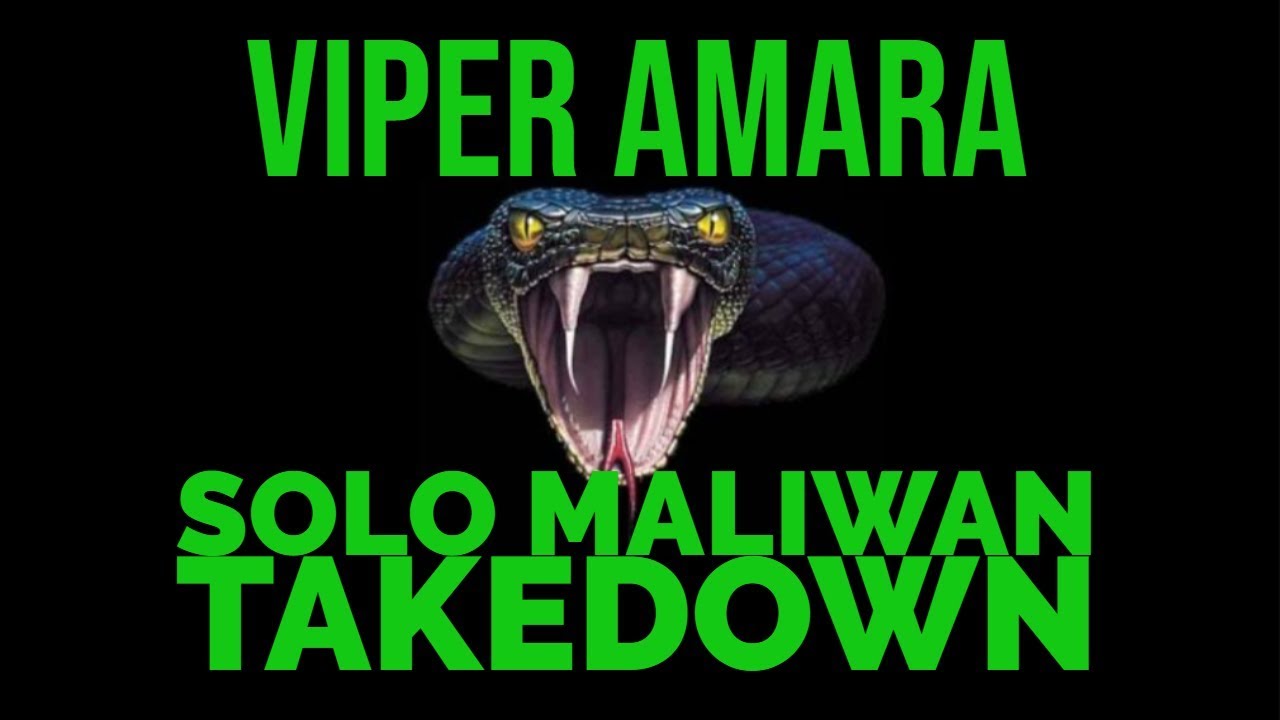 MY MALIWAN TAKEDOWN BUILD W GAMESAVE EASILY SOLO Viper Amara Build YouTube