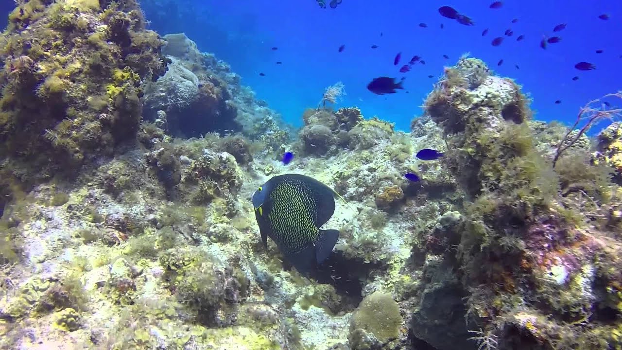 ⁣Davis Rock, Dry Tortugas