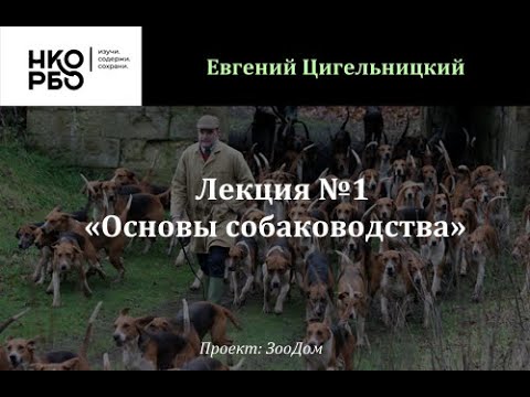 Лекция №1 - Основы собаководства (Цигельницкий Евгений)