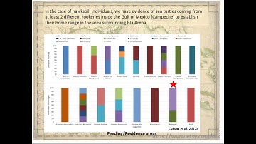 Assessment of Conservation Needs for the Regional Sea Turtle Hotspot Isla Arena Celestun