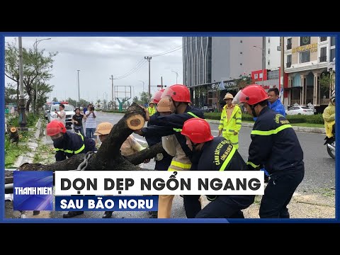 Video Công an, quân đội dọn dẹp cảnh ngổn ngang trên đường... - youtube