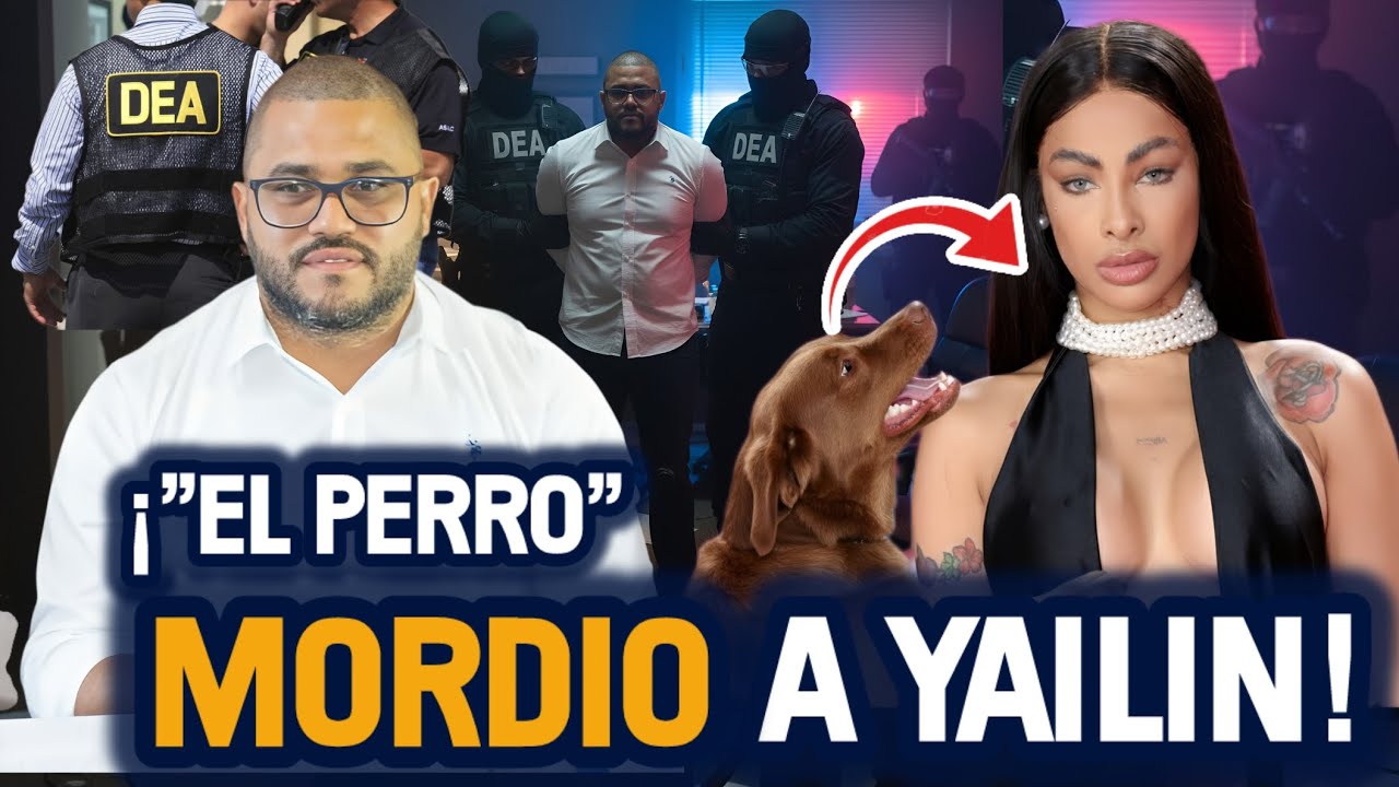 ⚠️¡INCREÍBLE! ¡La red de “El Perro” Paulino usaba la imagen de Yailin La Más Viral!