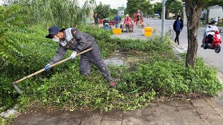 Volunteer to revive walkways, cut grass and clean with simple tools, and return sidewalks