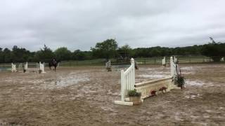 Catherine O'Brien in Intermediate Fences at St. Joseph's IHSA Horse Show Fall 2016
