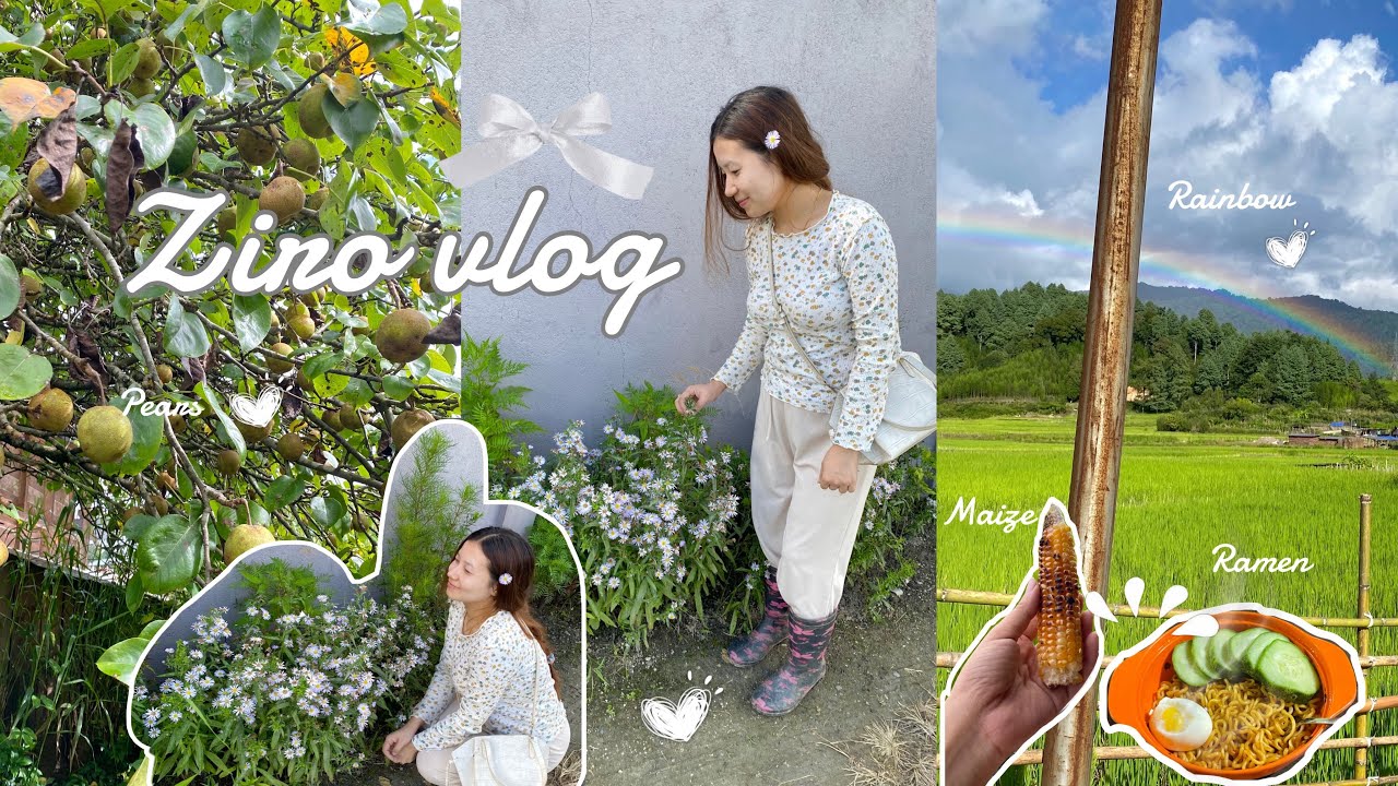 Life in Arunachal Pradesh, Ziro vlog 🌿☘️🌱| Arunachal Pradesh | #ziro#countryside #villagelife