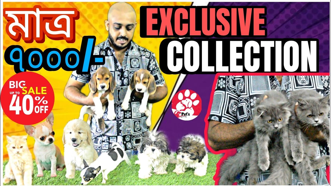 PET'S AVI&SONI EXCLUSIVE COLLECTIONBEST DOG KENNEL IN KOLKATAKOLKATA DOG MARKET YouTube