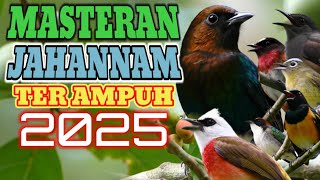 MASTERAN TEMBAKAN KASAR UNTUK MURAI BATU,CUCAK IJO,KACER ! ISIAN MEWAH OBRAK ABRIK GANTANGAN