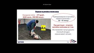 Совещание 14 03 24 Обрезка 05