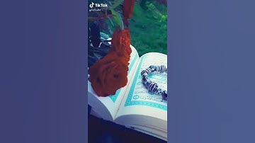 لا تنسى قراءة سورة الكهف يوم الجمعة