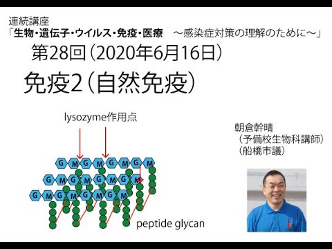 「免疫２（自然免疫）（連続講座「生物・遺伝子・ウイルス・免疫・医療８感染症対策理解のために）27）」（14分）。朝倉幹晴（船橋市議・予備校講師）