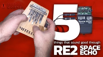 5 things that sound good through the RE-2 Space Echo #guitar #pedal