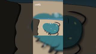 Giant Trilobites: Armored Sea Scavengers!