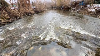 Питбуль Граф…Дорога в Донецк…Зоопарк…Щенок…