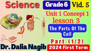 ساينس سادسة ابتدائي الترم اول 2024  Science Grade 6 The Parts Of The Cell Concept 1 Lesson 3 Part #1