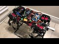 Quadruped robot close look