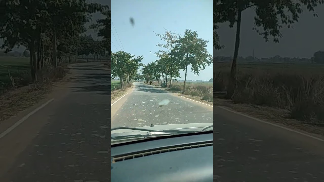short video Car Driving Bihar