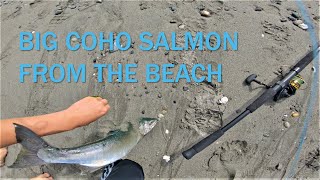 MY FIRST WASHINGTON COHO SALMON! (Washington Shore Fishing for Salmon)