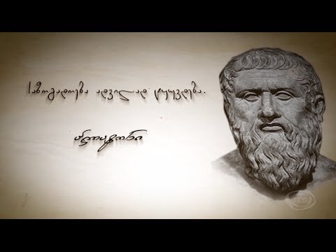 GD პედია - ნია ჭინჭარაული - მედია და საზოგადოებრივი აზრი