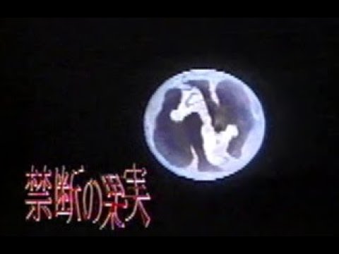 田中美佐子さん～懐かしの「禁断の果実」第7話ピックアップ