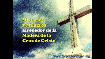 ¿En qué tipo de madera fue crucificado Jesús?