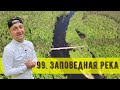 99 серия "Заповедная река"