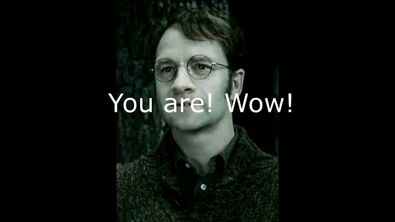 Harry Potter  The Potters Return #4