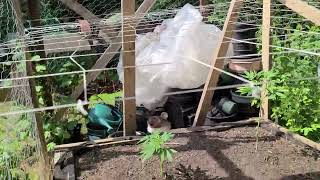 Outdoor Garden Upate and talk about the giveaway