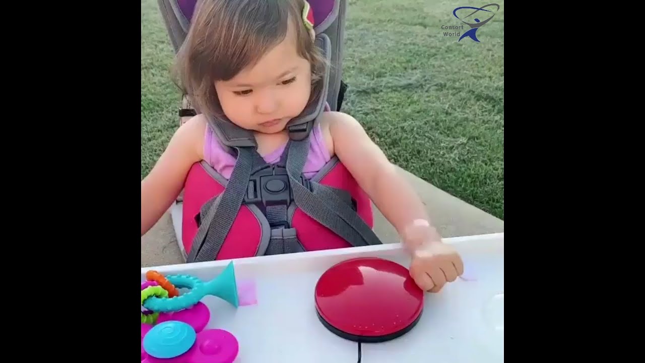 AbleNet Buddy Button Switch