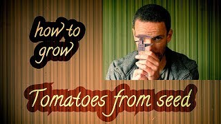 How to grow Tomatoes from seed - a funky 'n fresh video tutorial - 1DM