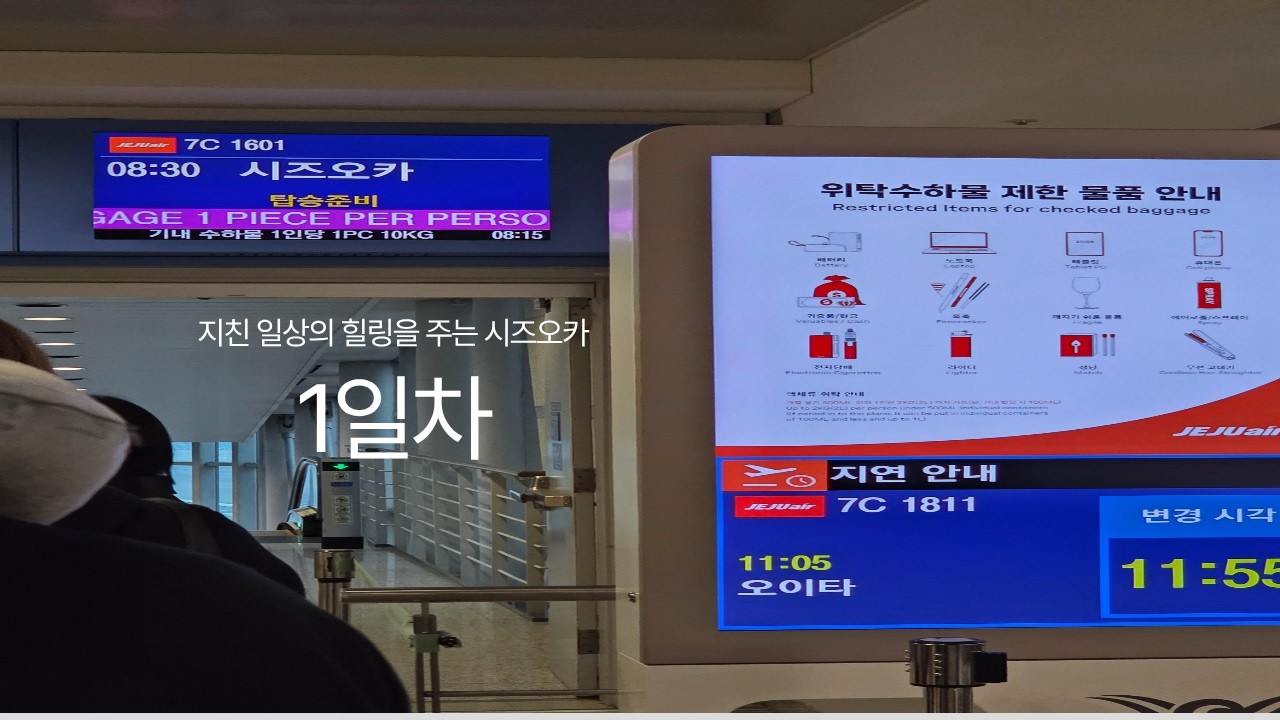 시즈오카(후지산) 여행 1일차