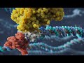 LineaRx enzymatic platform for large-scale DNA manufacturing