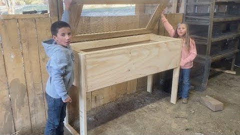 Chick brooder build (quick)