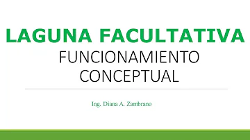 ¿Qué son las lagunas de estabilización?