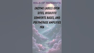 Chromatin Accessibility via NOMe seq