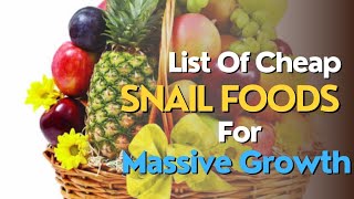 List Of Snail Foods For Growth And Egg Laying