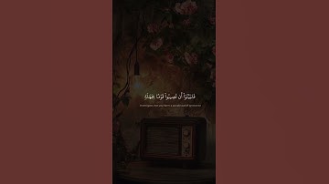 يَٰٓأَيُّهَا ٱلَّذِينَ ءَامَنُوٓاْ إِن جَآءَكُمۡ فَاسِقُۢ بِنَبَإٖ|سورة الحجرات |محمد صديق المنشاوي