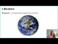 Understanding Levels of Organization in Biology