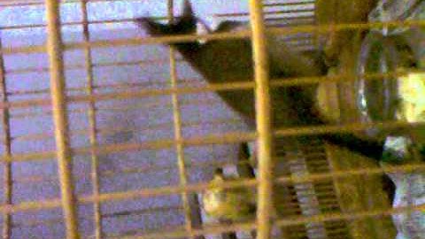 C:\Documents and Settings\ADMIN\Desktop\New Folder (2)\17102010016.mp4