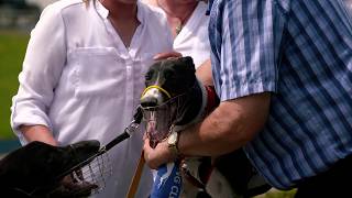 Greyhound Racing: Presenters & Race Callers