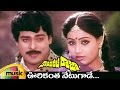 Kondaveeti Raja Telugu Movie | Oorikantha Neetugade Video Song | Chiranjeevi | Vijayashanti