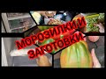 09.2023 Купили морозильный ларь//Зачем мне столько морозилок?//Разморозка и подготовка ..