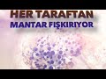 EVDE İSTİRİDYE MANTARI YETİŞTİRDİM ÇOK KOLAY YÖNTEM