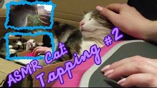 ASMR Cat: I'd Tap That | Intense Tapping #2 (no talking) (long nails/glass/plastic/cardboard/mug)