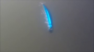 [HÃNG HIRUSHIMA] HITA REVIEW - Mồi giả câu cá chẽm siêu nhạy F120