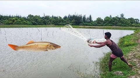 Unbelievable Cast Net Fishing -  Fisherman vs River Catch Netting Fishing  Net Video