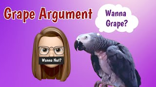 Einstein the Parrot Argues Over Grapes vs. Nuts!