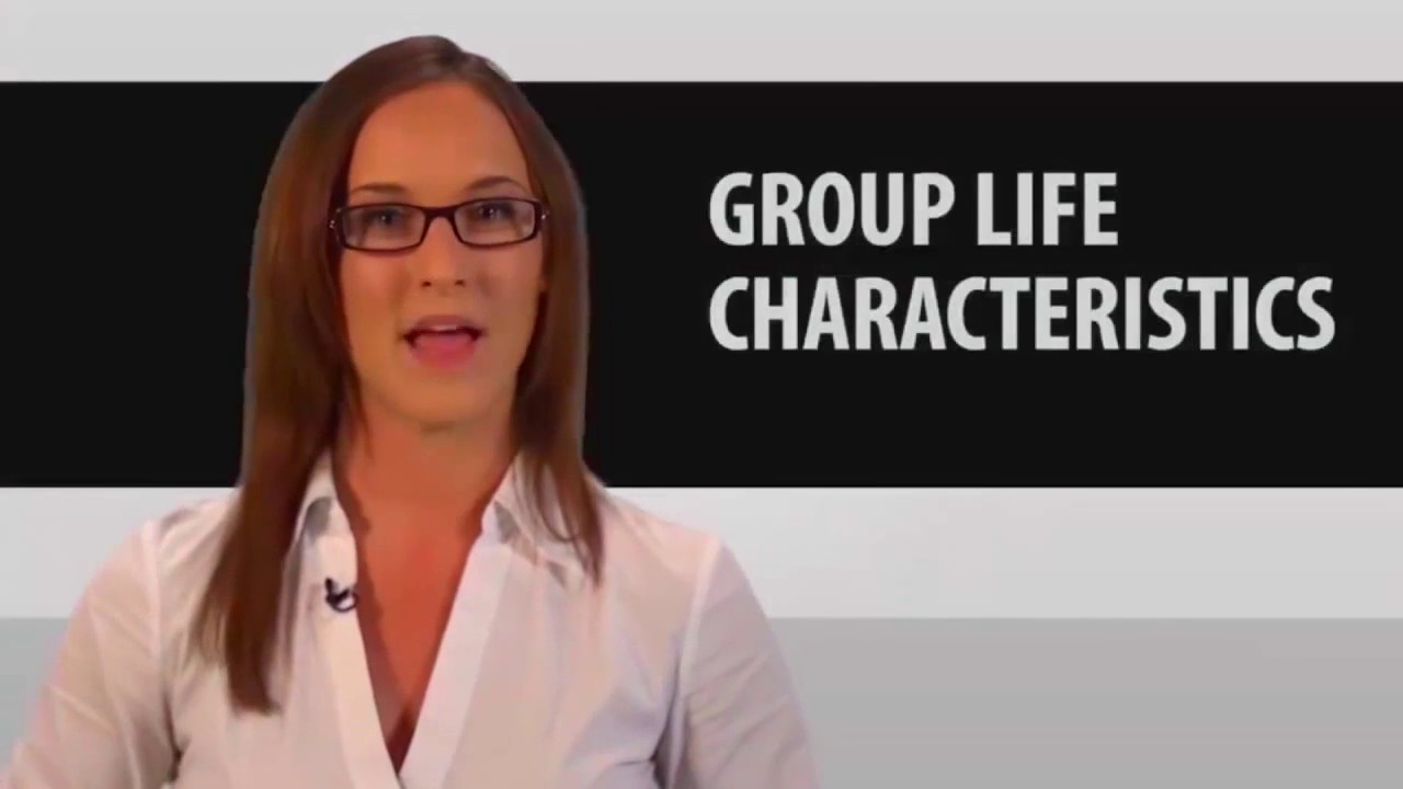 7 Group Life Insurance
