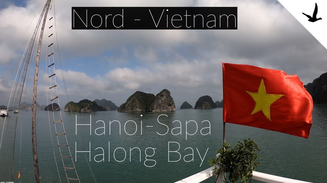 Unforgettable BAI TU LONG BAY Cruise In VIETNAM | Sustainable HALONG BAY Alternative